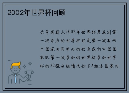 2002年世界杯回顾